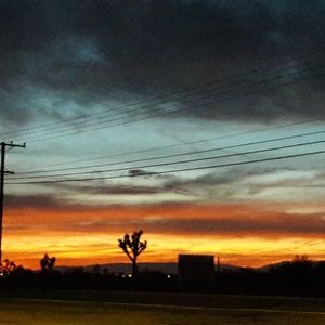 Meet your Posher, Leilani